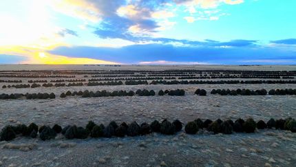 Hunting Land for sale in Phillips County, Colorado