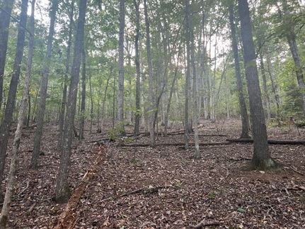 Hunting Land for sale in Bartow County, Georgia