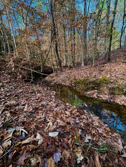 Recreational Property for sale in Shelby County, Texas