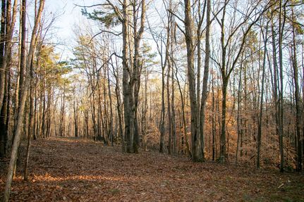 Property for sale in Carroll County, Mississippi