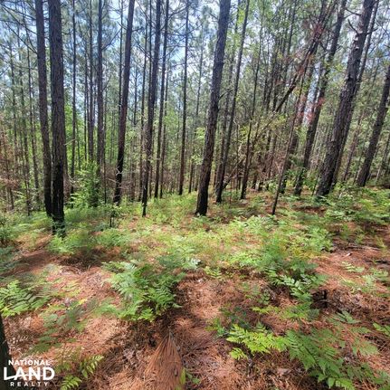 Property for sale in Talladega County, Alabama