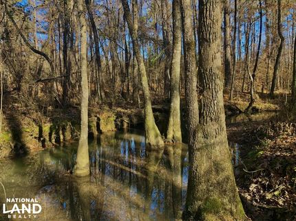 Property for sale in Shelby County, Alabama