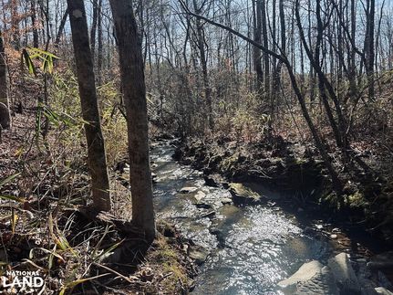 Property for sale in Randolph County, Alabama