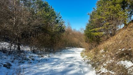 Residential Property for sale in Wayne County, West Virginia