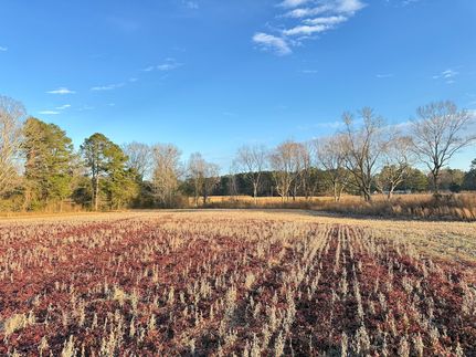 Ranch Property for sale in Florence County, South Carolina