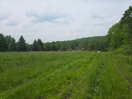 Undeveloped Land for sale in Chenango County, New York