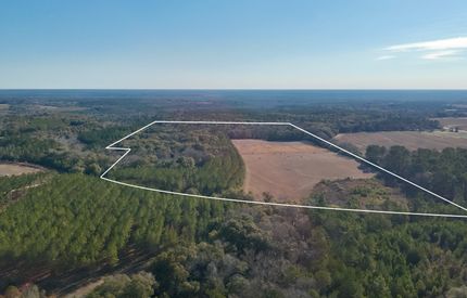Hunting Land for sale in Henry County, Alabama
