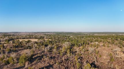 Hunting Land for sale in Wood County, Texas