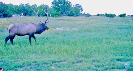 Property for sale in Catron County, New Mexico