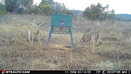 Property for sale in Taylor County, Texas