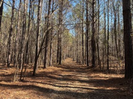 Property for sale in Tuscaloosa County, Alabama