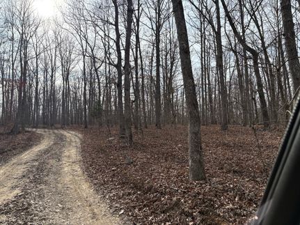 Property for sale in Reynolds County, Missouri