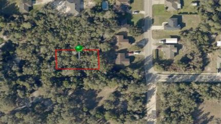 Undeveloped Land for sale in Volusia County, Florida