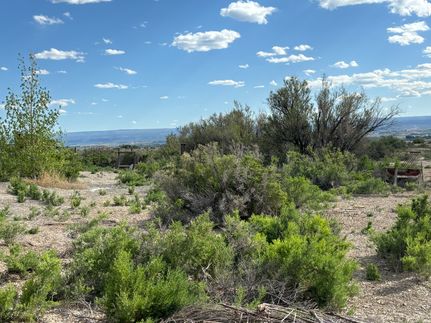 Farm Property for sale in Montrose County, Colorado