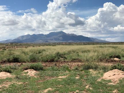 Horse Property for sale in Socorro County, New Mexico