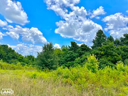 Property for sale in Lauderdale County, Alabama