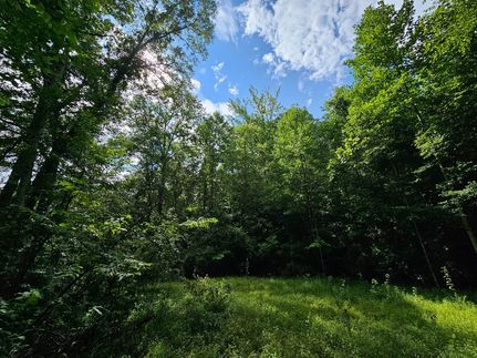 Property for sale in Haralson County, Georgia