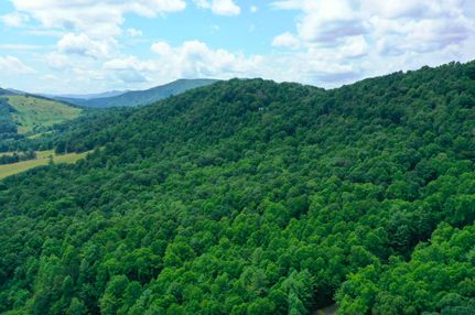 Undeveloped Land for sale in Ashe County, North Carolina