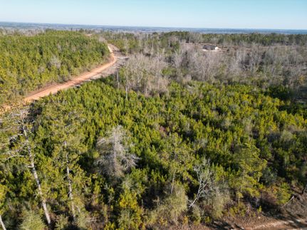 Property for sale in Macon County, Alabama