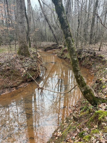 Property for sale in Talladega County, Alabama