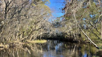 Property for sale in Robeson County, North Carolina