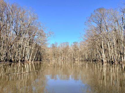 Property for sale in Carroll County, Mississippi