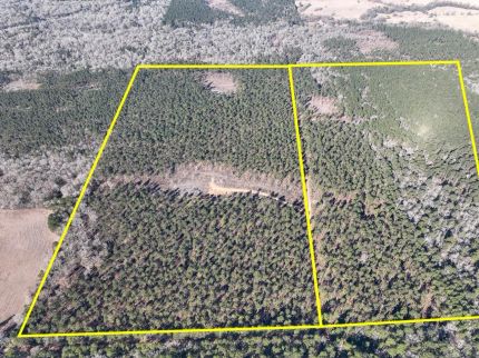 Property for sale in Trinity County, Texas