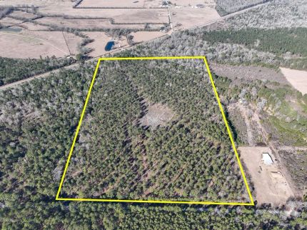 Property for sale in Trinity County, Texas