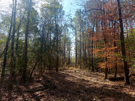 Timberland Property for sale in San Augustine County, Texas