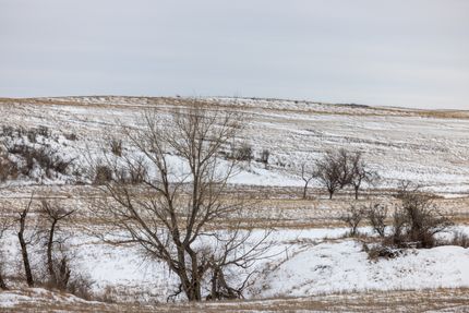 Property for sale in Grant County, North Dakota