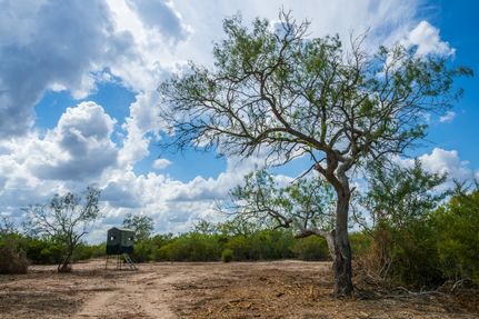 Hunting Land for sale in Jim Wells County, Texas