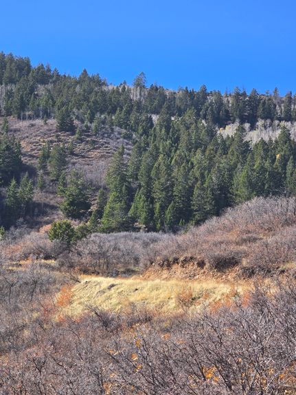 Undeveloped Land for sale in Duchesne County, Utah