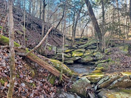 Property for sale in Fayette County, Alabama