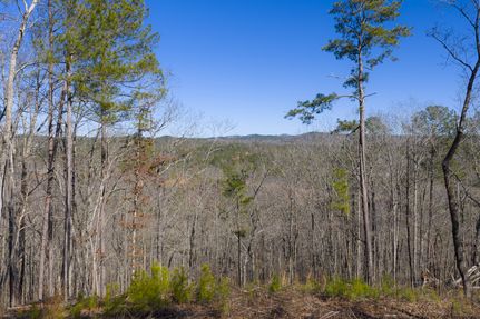 Property for sale in Gilmer County, Georgia