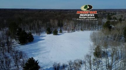 Hunting Land for sale in Newaygo County, Michigan