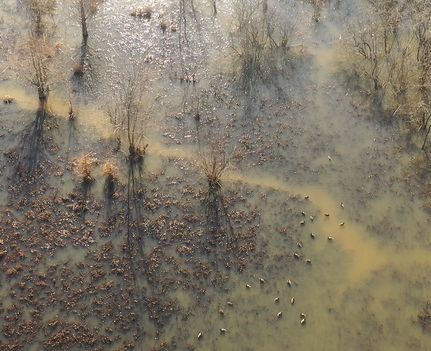 Property for sale in Union County, Mississippi