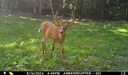 Property in Oceana County, Michigan