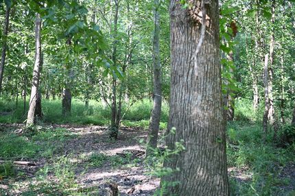 Property for sale in Richland County, Illinois