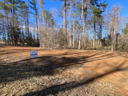 Undeveloped Land for sale in Rutherford County, North Carolina