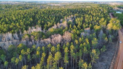 Property for sale in Lee County, Alabama