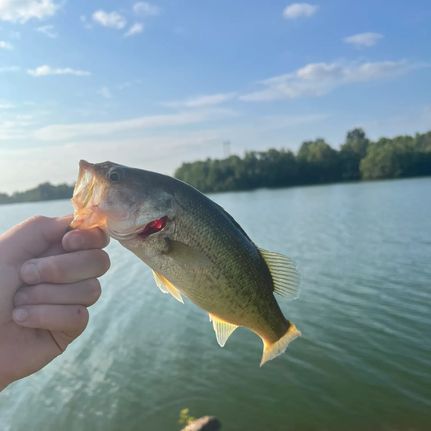 Property for sale in Liberty County, Texas