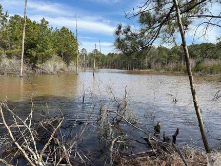 Undeveloped Land for sale in Cass County, Texas