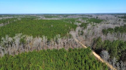 Property for sale in Lowndes County, Alabama