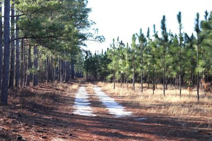 Timberland Property for sale in Aiken County, South Carolina