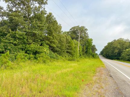 Timberland Property for sale in Drew County, Arkansas