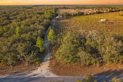 Undeveloped Land for sale in Levy County, Florida