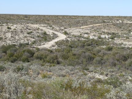 Property for sale in Terrell County, Texas