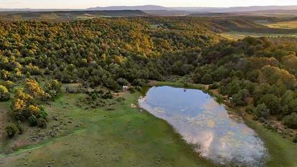 Property for sale in Rio Arriba County, New Mexico