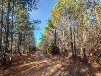 Timberland Property for sale in Lewis County, Tennessee