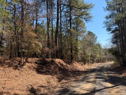 Property for sale in Sabine Parish, Louisiana